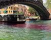 Venecia, agua todavía coloreada en el Gran Canal: la policía detiene a dos activistas franceses