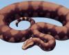Una serpiente gigantesca descubierta en la India: la Vasuki Indicus, tan larga como un autobús escolar