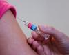 Atención sanitaria, las cifras de pesadilla del sarampión y la tos ferina. “Pocas vacunas” – Il Tempo