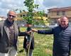 Cien nuevos árboles para el parque “Tommaso Forti” de Fiumicino • Terzo Binario News