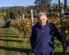 Murió empresario en Pinzano. Adiós a Emilio Bulfón, guardián de las viñas milenarias. Lo que hizo en vida es realmente especial.