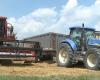 El distrito de Parma Bio Valley y la visión bucólica de la agricultura