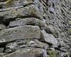 Muros de piedra seca: más de 1.300 solicitudes online para la licitación de la región de Liguria