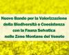 Nueva convocatoria para la mejora de la biodiversidad y la convivencia con la vida silvestre en las zonas montañosas del Véneto