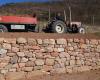 Muros de piedra seca: más de 1.300 solicitudes para la licitación de la Región de Liguria – Savonanews.it