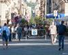 25 de abril: Leone (Pd), ‘en Catania, cuatro déspotas bloquearon nuestra bandera’ – Catania