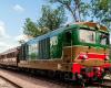 Comienza la temporada del Tren Histórico en Campania: 65 circulaciones de mayo a diciembre
