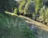 Vitali (PdF): “La margen derecha del río Senio, una situación inaceptable”