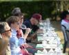 Los vinos heroicos se celebran en el Piamonte: “Vinos hasta el final” vuelve los días 4 y 5 de mayo – Newsfood – Nutrimento e Nutrimente