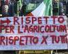 Sicilia. Tras la tormenta por la corrupción, queda vacante el cargo de concejal de Agricultura: De Luca anuncia protestas