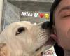 Fedez y la nostalgia de la perra Paloma: publica foto con un “beso”, Chiara Ferragni responde con una caricia
