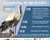 Día de Cicogna: celebración del futuro Parque del Golfo de Gela
