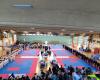 Copa de Italia de Karate Fik 2024, la Escuela Keikenkai gana 6 oros, 8 platas y 7 bronces