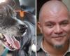 Matteo Cornacchia murió en el trabajo a los 47 años, su perro Willy, solo, busca hogar: el llamamiento en las redes sociales