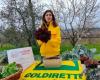Agricultura: en Puglia casi 30 mil empresas dirigidas por mujeres menores de 35 años