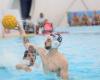 Waterpolo masculino de la serie A2, Vela Ancona el sábado en casa en Bolonia contra Canottieri – WATERPOLO PEOPLE