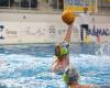 Torino ’81 vuelve a la piscina contra Chiavari Nuoto, Aversa: “Decisivo para los play-offs”