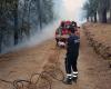 Ejercicio interfuerzas de Incendios y Protección Civil mañana en Casaboli – Monreale News