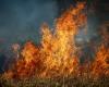 carlentini | Medidas de prevención y lucha activa contra incendios forestales: se emite una ordenanza » Webmarte.tv