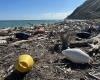 Fiorenzuola di Focara, Mms libera la playa de 3 toneladas de escombros – Noticias Pesaro – CentroPagina