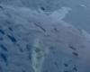Reggio Calabria, película de una hembra de tiburón blanco de más de tres metros a pocos metros de la playa