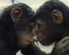 El Reino del Planeta de los Simios: la película se podrá ver en Blu-ray sin efectos visuales | Cine