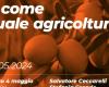 Un como en “qué agricultura”, reunión sobre el tema propuesto por el comité del alcalde de Nardini