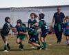 Rugby, vuelve el “Trofeo Pesciolino” en memoria de Yuba • Elbapress