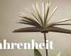 Fahrenheit | S2024 | El libro del día | Matteo Lazzarin, la última primavera de Kronenberg, Garzanti | Radio 3