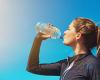 No solo agua, aquí tienes los alimentos que contribuyen a la hidratación de nuestro organismo