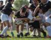 Rugby: el “Trofeo Corallo 2024” comienza el sábado y domingo en el Campo Bruno Menta Brescia