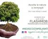 Experiencias inmersivas-sensoriales en la naturaleza, un encuentro en Bérgamo el 30 de mayo y una campaña #noiascoltiamolanatura – Indire