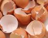 Cáscaras de huevo para una ropa más blanca: el truco increíble