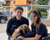 Roccapiemonte, abandonado en la calle, el perro corre el riesgo de morir salvado por la policía