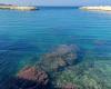 Mar limpio en Giovinazzo. Arpa Puglia lo certifica
