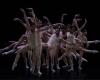 Bolzano Danza celebra 40 años: el programa de la edición 2024