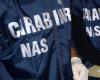 Sassari. Bombardeo de Nas en algunos gimnasios, dos arrestos | Noticias