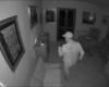 GUIDONIA – El ladrón en la casa mientras los propietarios duermen: hay alarma de robo