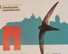 “La avifauna del puerto de Ancona – experiencias comparadas”, paseo por la naturaleza y conferencia en el Mole