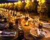 Cena bajo las estrellas en el viñedo de la Fundación Tavecchio 2024