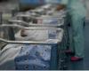 Vuelve el miedo a Verona por Citrobacter, la bacteria que infectó a 98 recién nacidos