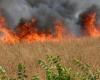 Marsala y Petrosino apagan incendios con la obligación de limpiar el terreno