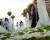 Ceremonia de boda, en Olbia el alcalde Nizzi prohíbe romper el plato