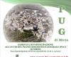 MIRTO PUG – La fase participativa cobra vida. Reunión pública sábado 11 de mayo