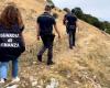 Investigación sobre la “trashumancia” en Abruzos: la Fiscalía cierra la investigación sobre los pastos fantasma y la estafa millonaria contra la Unión Europea