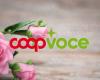 CoopVoce regala 3 meses de Evo 200 con 200 GB, minutos y 1000 SMS para el Día de la Madre – MondoMobileWeb.it | Noticias | Telefonía
