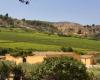 Sicilia En Primeur 2024: Planeta presenta los vinos de la zona de Menfi