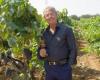 En el G7 los vinos de Negramaro y Malvasia Doc de Brindisi