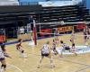 Quince Molfetta – Voleibol femenino. Dinamo CAB Molfetta en el examen ASEM Volley Bari