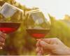 ‘Calicis’ en Villa Ormond en San Remo para celebrar la comida y el vino de los Alpes Marítimos y sus alrededores – Targatocn.it